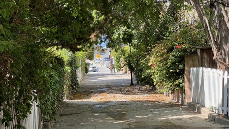 Enlarge photo 40