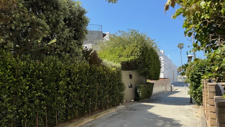 Enlarge photo 41