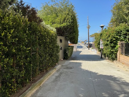 Enlarge photo 46
