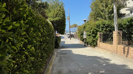 Enlarge photo 51