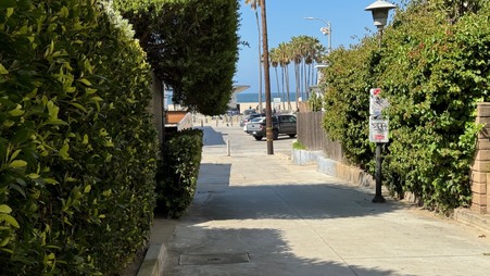 Enlarge photo 52