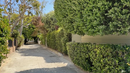 Enlarge photo 53