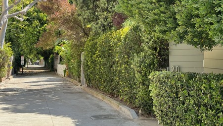 Enlarge photo 54