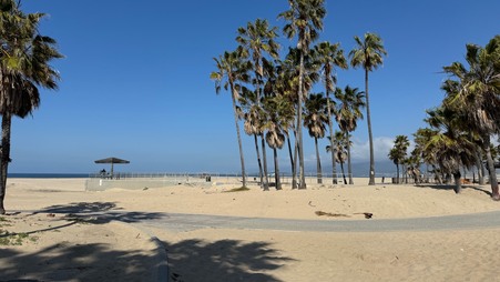 Enlarge photo 84