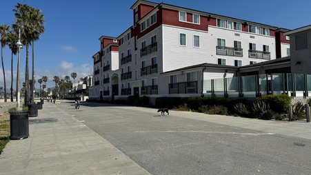 Enlarge photo 113
