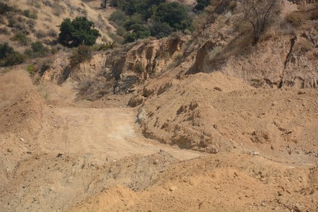 Enlarge photo 45
