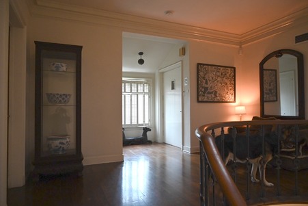 Enlarge photo 115