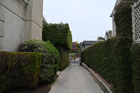 Enlarge photo 161