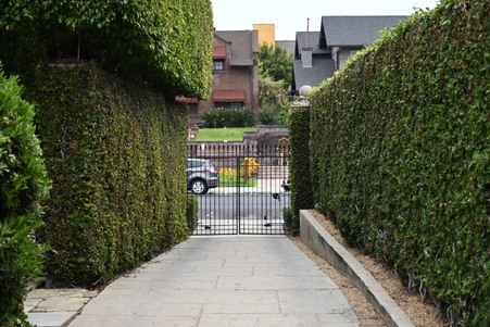 Enlarge photo 162