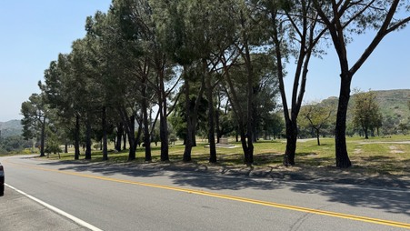 Enlarge photo 14