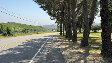 Enlarge photo 15