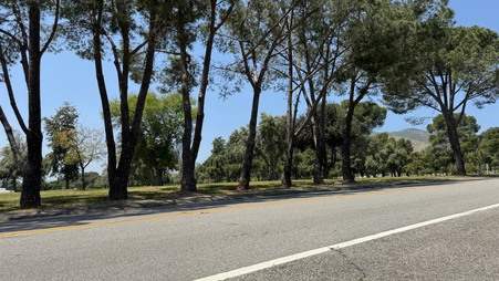 Enlarge photo 18