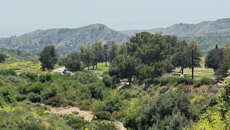 Enlarge photo 25