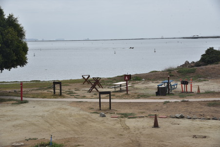 Enlarge photo 19