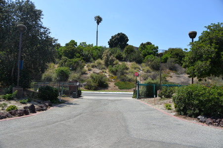 Enlarge photo 32