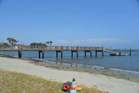 Enlarge photo 80