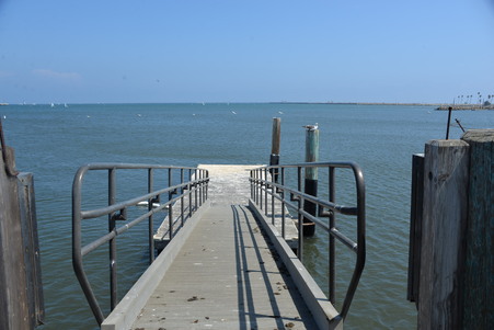 Enlarge photo 91