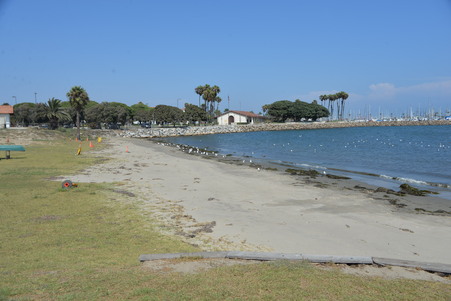 Enlarge photo 97