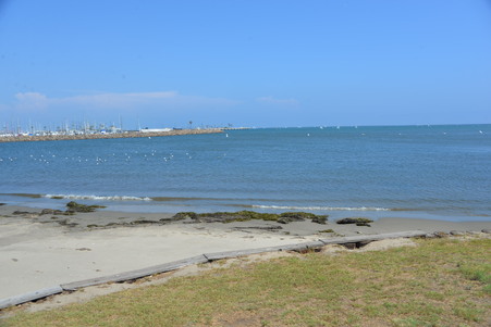 Enlarge photo 98