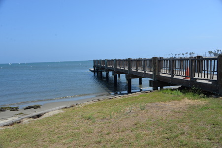 Enlarge photo 99