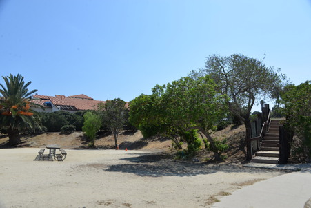 Enlarge photo 118