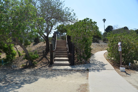 Enlarge photo 119