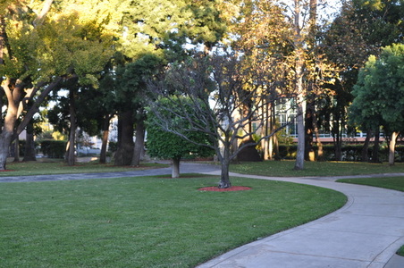 Enlarge photo 80