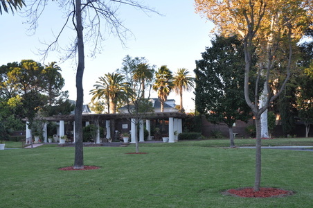 Enlarge photo 81