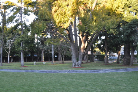 Enlarge photo 82