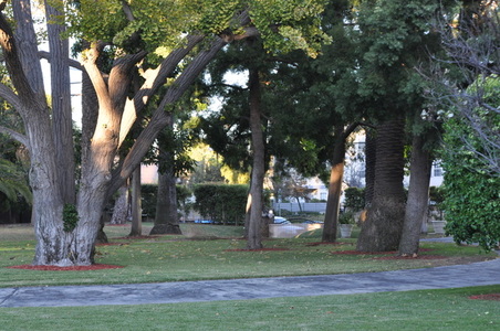 Enlarge photo 83