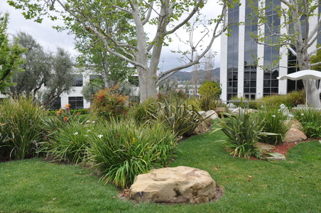 Enlarge photo 8
