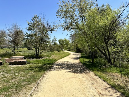 Enlarge photo 13