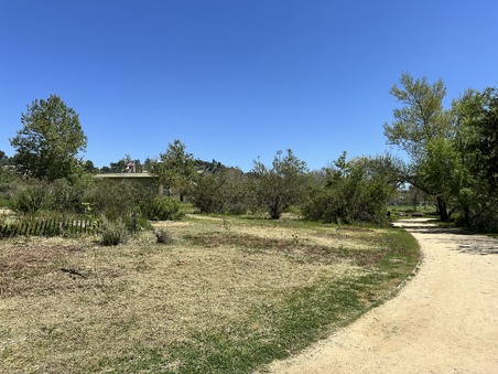 Enlarge photo 16