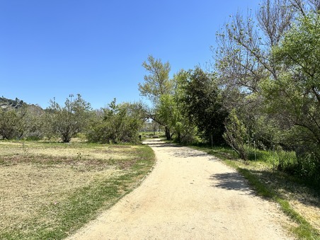 Enlarge photo 17