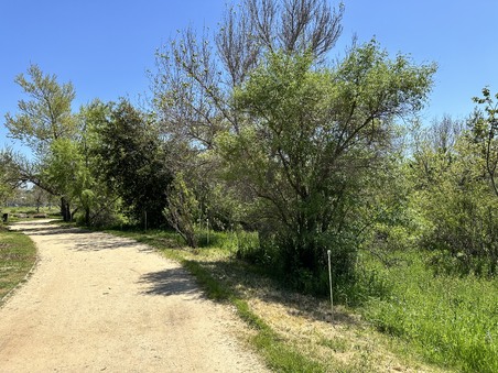 Enlarge photo 18