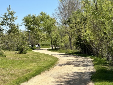 Enlarge photo 19