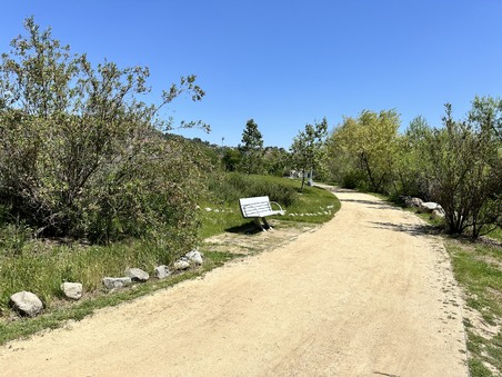 Enlarge photo 26