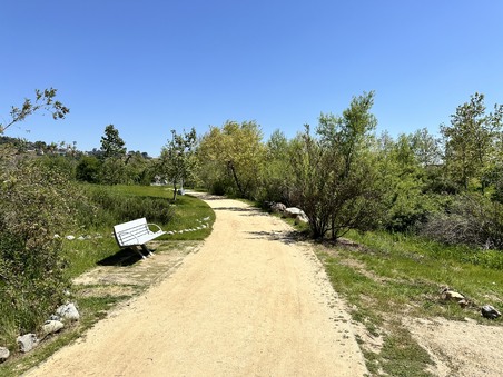 Enlarge photo 27