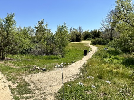 Enlarge photo 28