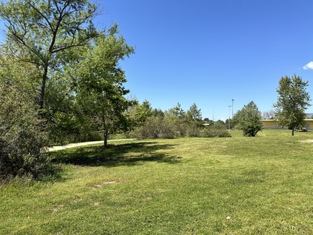 Enlarge photo 35