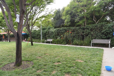 Enlarge photo 26