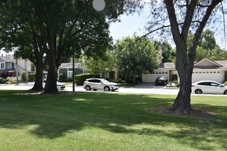 Almendra Park
