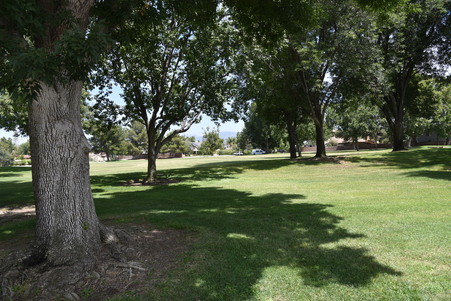 Enlarge photo 17