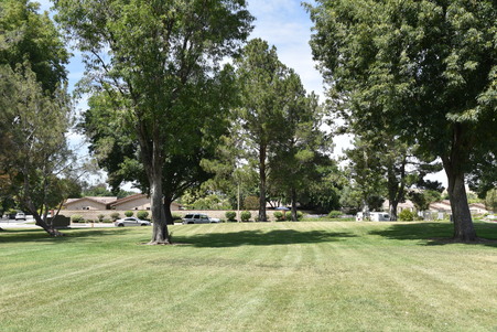 Enlarge photo 26