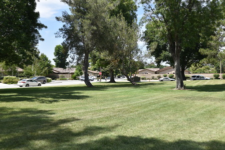 Enlarge photo 27