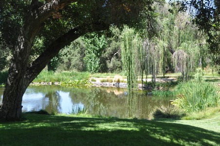 Enlarge photo 5