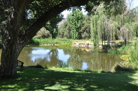 Enlarge photo 8