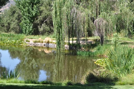 Enlarge photo 7