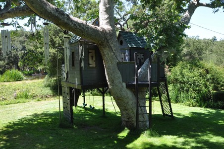Enlarge photo 15