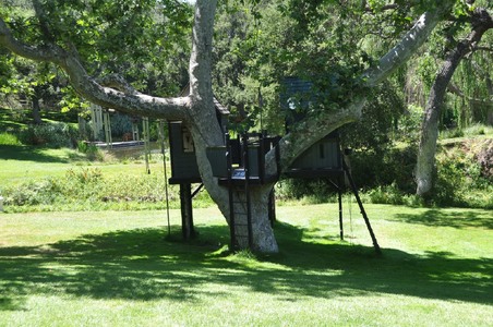 Enlarge photo 21